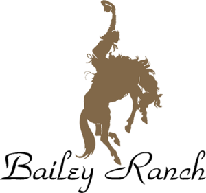 Bailey Ranch Logo 3
